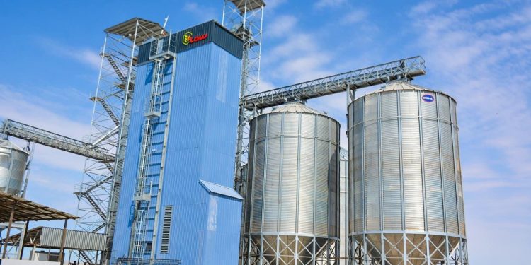 Шардарада жылына 150 мың тонна жүгері өңдейтін зауыт іске қосылуға дайын