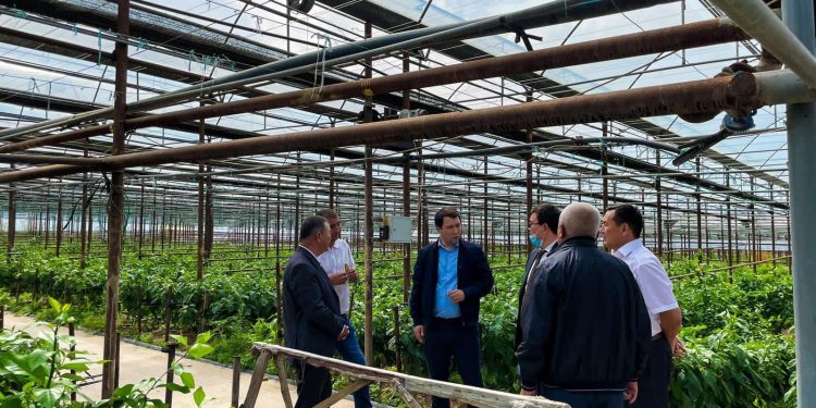 Түркістан облысында жылыжайлар көмірмен тікелей өндірушіден қамтамасыз етіледі