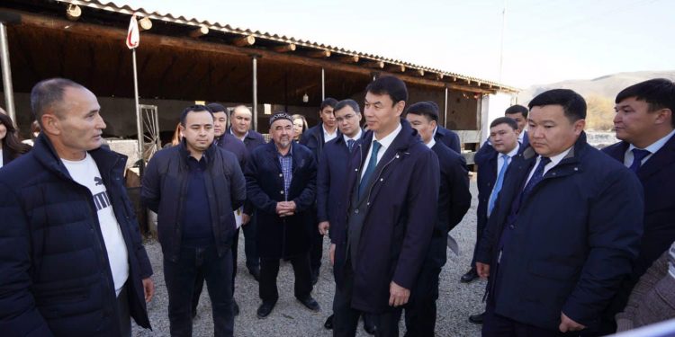 Дархан Сатыбалды Кентауда «Ауыл аманаты» жобасы арқылы ашылған жобалармен танысты
