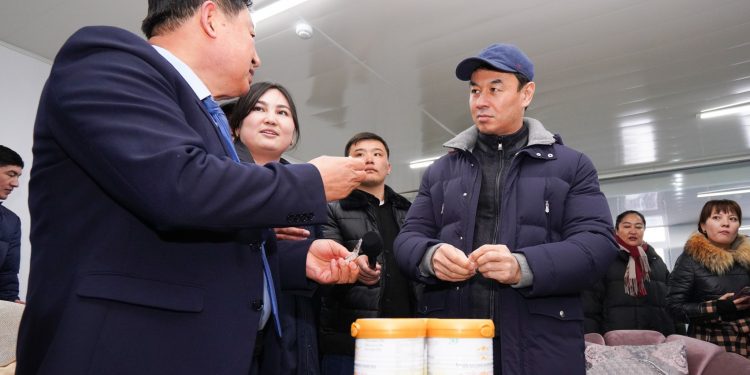 Түркістандағы «Golden camel» зауыты қайта іске қосылды