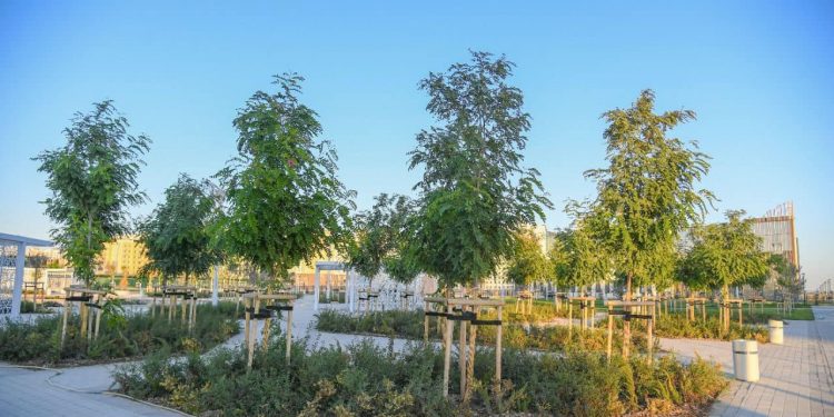 Түркістан облысын көгалдандыру, абаттандыру саласындағы жоспарлар жан-жақты талқыланды