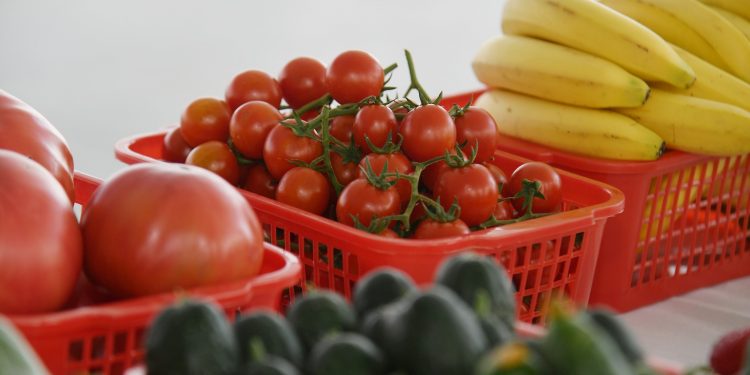 Түркістан облысының жылыжайларынан бір жылда 140 мың тонна өнім жиналды