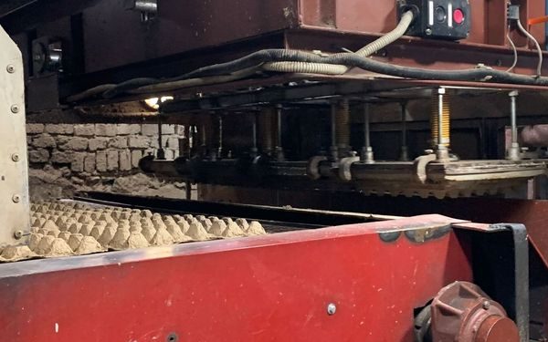 Сарыағашта цех тәулігіне 35 мың дана жұмыртқа қорабын өндіреді