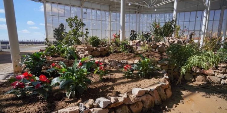 Түркістанда «Таза қазақстан» акциясы аясында тропикалық талдар отырғызылды