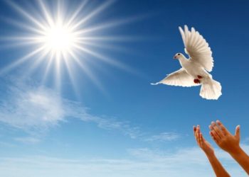 Зайырлылық ұғымының әлем елдеріндегі көрінісі