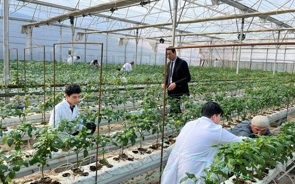 Түркістан облысында  жоғары сұранысқа ие  мамандықтар анықталды