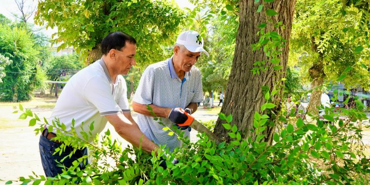 Кентауда ақсақалдар мен жастар тазалық акциясына белсене қатысты