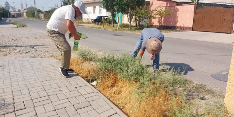 Түркістанда кең ауқымды сенбілік және аялдамаларға тазалық жұмыстары жүргізілді