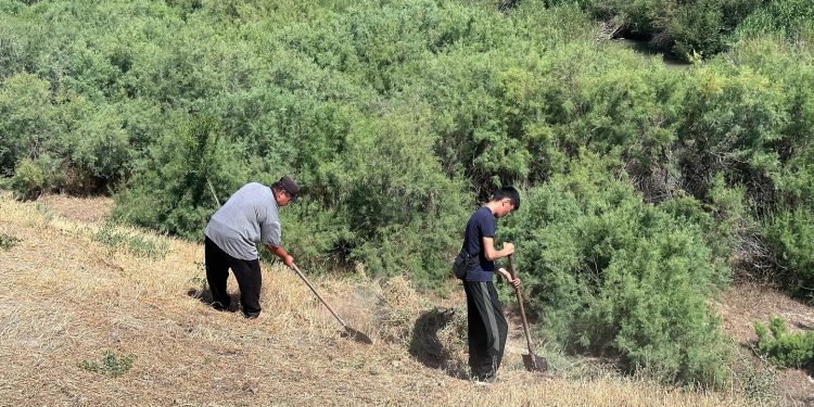 «Таза Қазақстан»: Түркістан өңірінде экологиялық мәдениет қалыптасып келеді