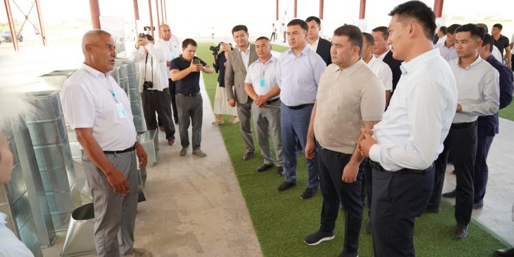 Түркістан облысында индустриалды аймақтар кәсіпкерлікке тың серпін беруде