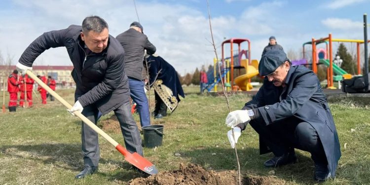 «Таза Қазақстан»: Түлкібаста өткен сенбілікте 500-ге жуық тұрғын атсалысты