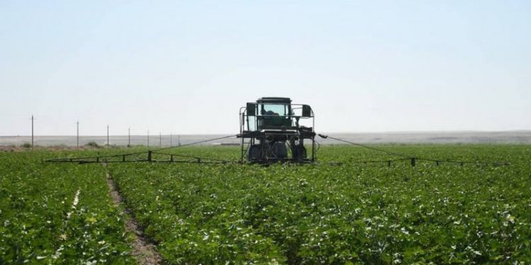 Шардара ауданына 60 млрд теңгеге жуық инвестиция тартылған