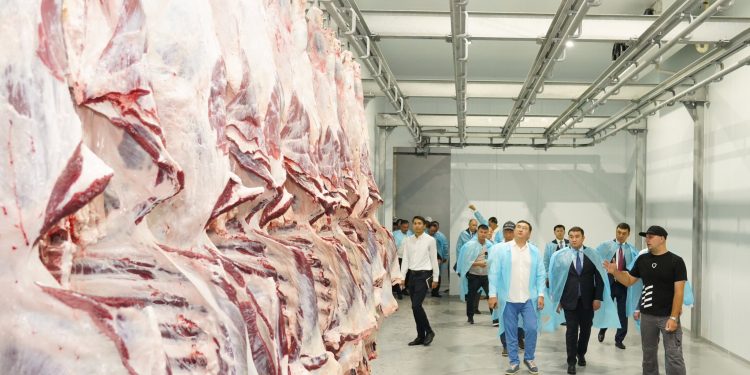 2025 жылы Түркістан облысы шетелге 60 мың тоннадан астам ет экспорттап, республикада көш бастады