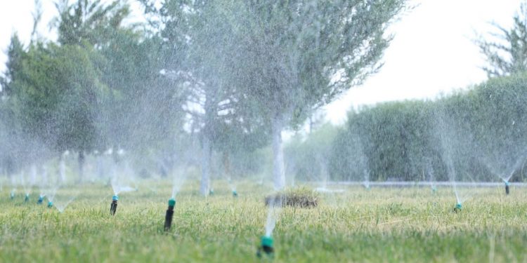 Түркістан облысында «Таза Қазақстан» бағдарламасы аясында жұмыстар жандана түсті