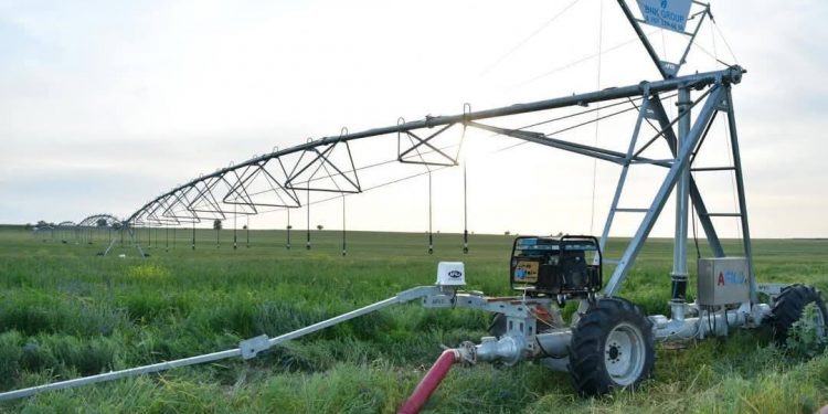 Түркістан облысында көктемгі егіс науқаны қарқынды жүріп жатыр