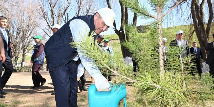 Президенттің «Таза Қазақстан» бастамасы: Олжас Бектенов Түркістан облысында «Мөлдір бұлақ» акциясына қатысты