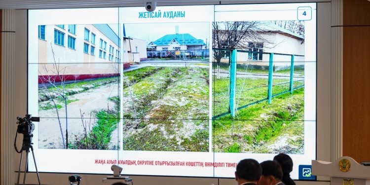 Түркістан облысында биыл 1 млн түп көшет егіледі