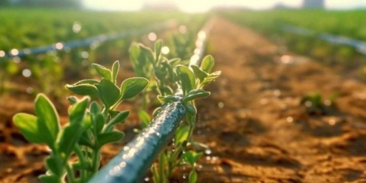 Су тұтынуды азайту — егіс науқанының басты басымдықтарының бірі