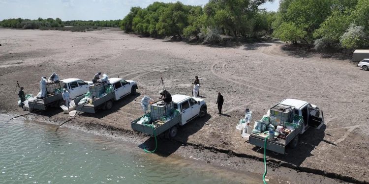 Отырар ауданында шіркейге қарсы дезинсекция жұмыстары басталды