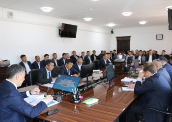 Жолдау жүктеген міндет: Түлкібаста көктемгі дала жұмыстары қарқын алды