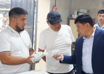 Президент тапсырмасы: Шұбар ауылындағы өндіріс орны ауыл кәсіпкерлігінің дамуына серпін беруде