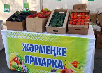 Алматыда Түркістан облысы өнімдерінің жәрмеңкесі өтті